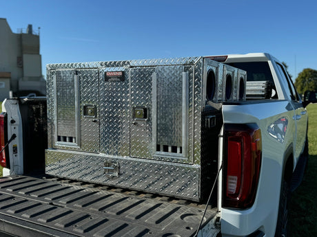 Dog Boxes