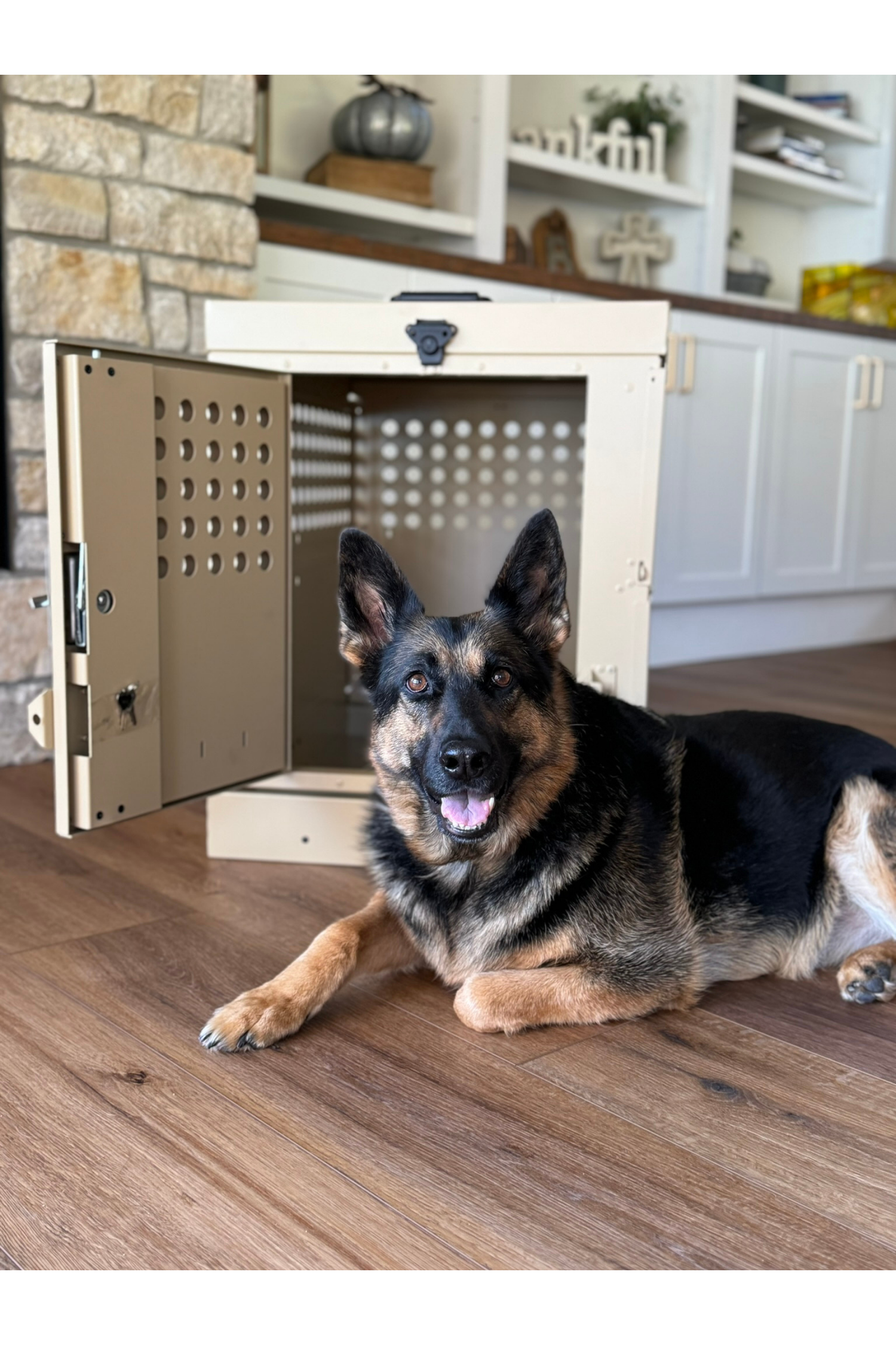 Dog Crate 55314 Professional K9 Series Large Collapsible Working Dog Crate / Single Compartment / 22.25 W x 34 D x 29 H / Mill Finish Aluminum / Tan / Owens Products