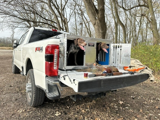 Owens Products: Premium Outdoor Dog Boxes for Every Adventure