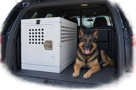 The Critical Role of Working K9s and the Importance of Working K9 Safety