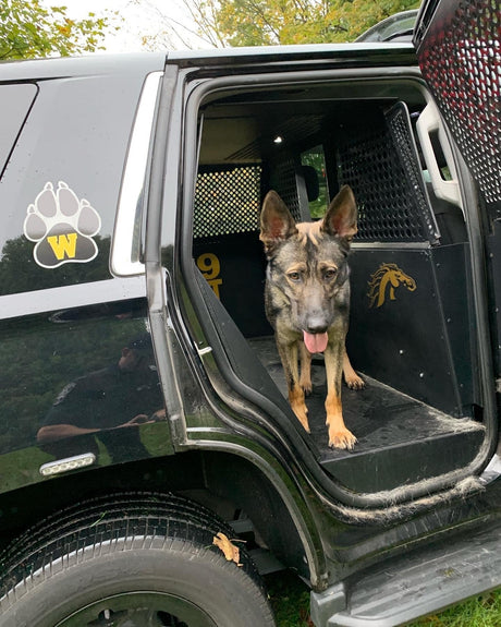 Owens Products Trusted K9 Unit Vehicle Inserts