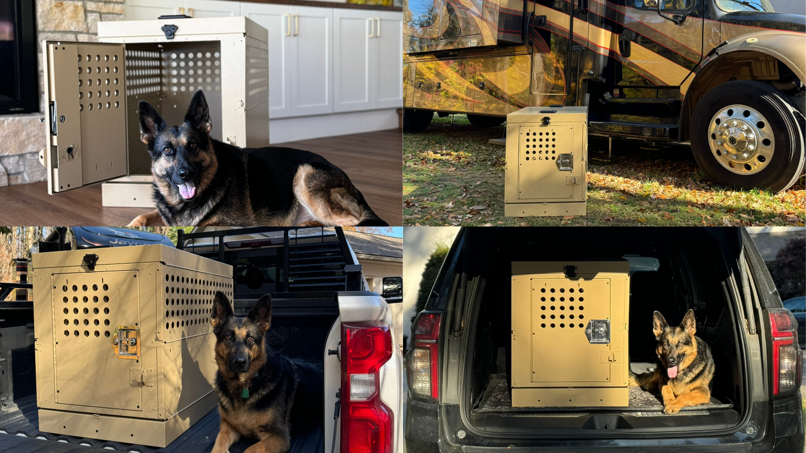 The Complete Collapsible Dog Crate Guide for Travel, Home & Air Transport