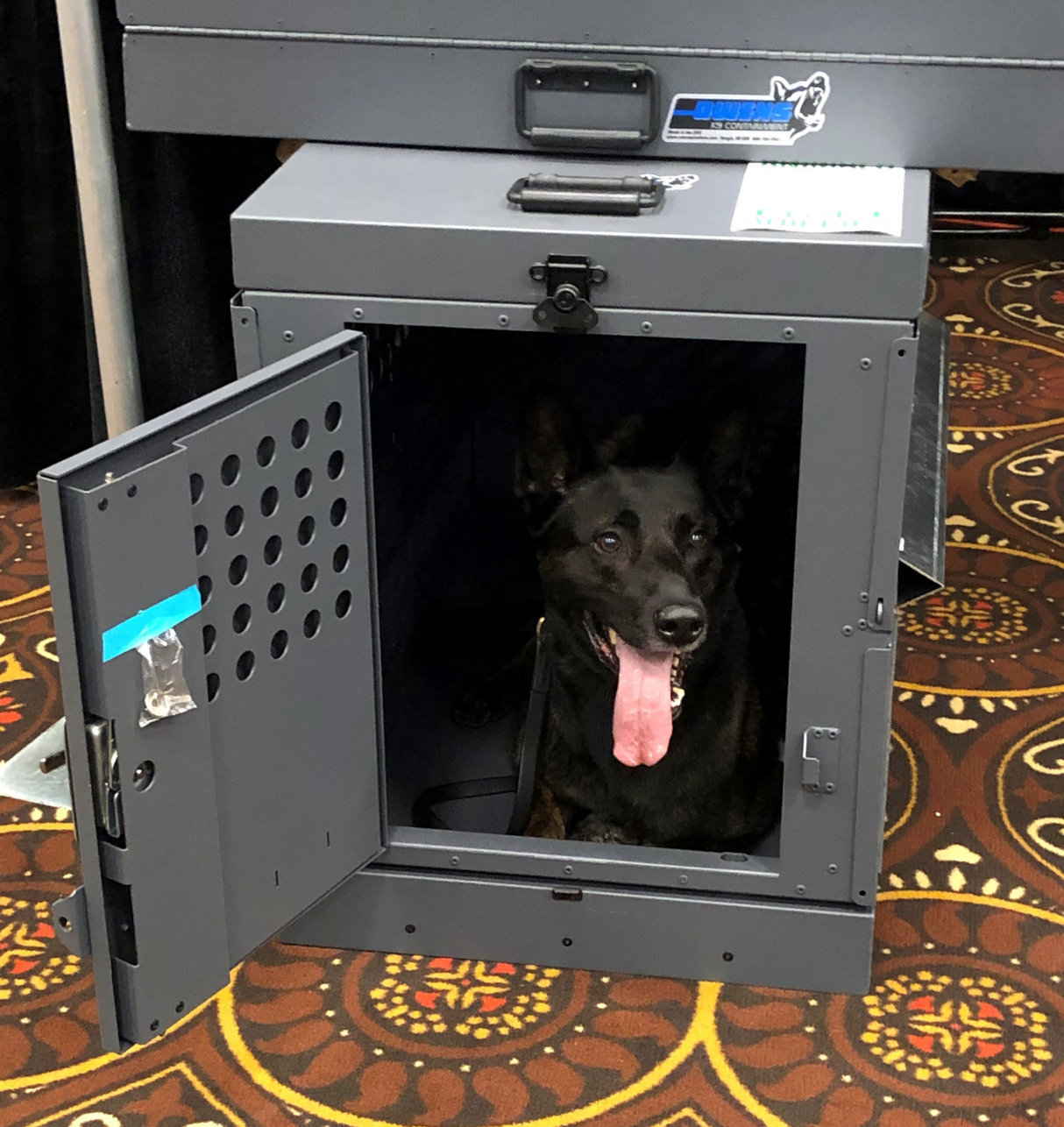Dog Crate 55306 Professional K9 Series X-Large Collapsible Working Dog Crate / Single Compartment / 22.25 W x 41 D x 29 H / Mill Finish Aluminum / Gray / Owens Products
