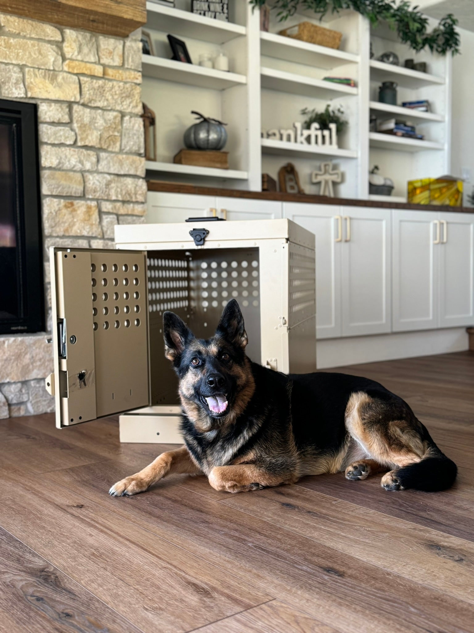 Dog Crate 55307 Professional K9 Series X-Large Collapsible Working Dog Crate / Single Compartment / 22.25 W x 41 D x 29 H / Mill Finish Aluminum / Tan / Owens Products