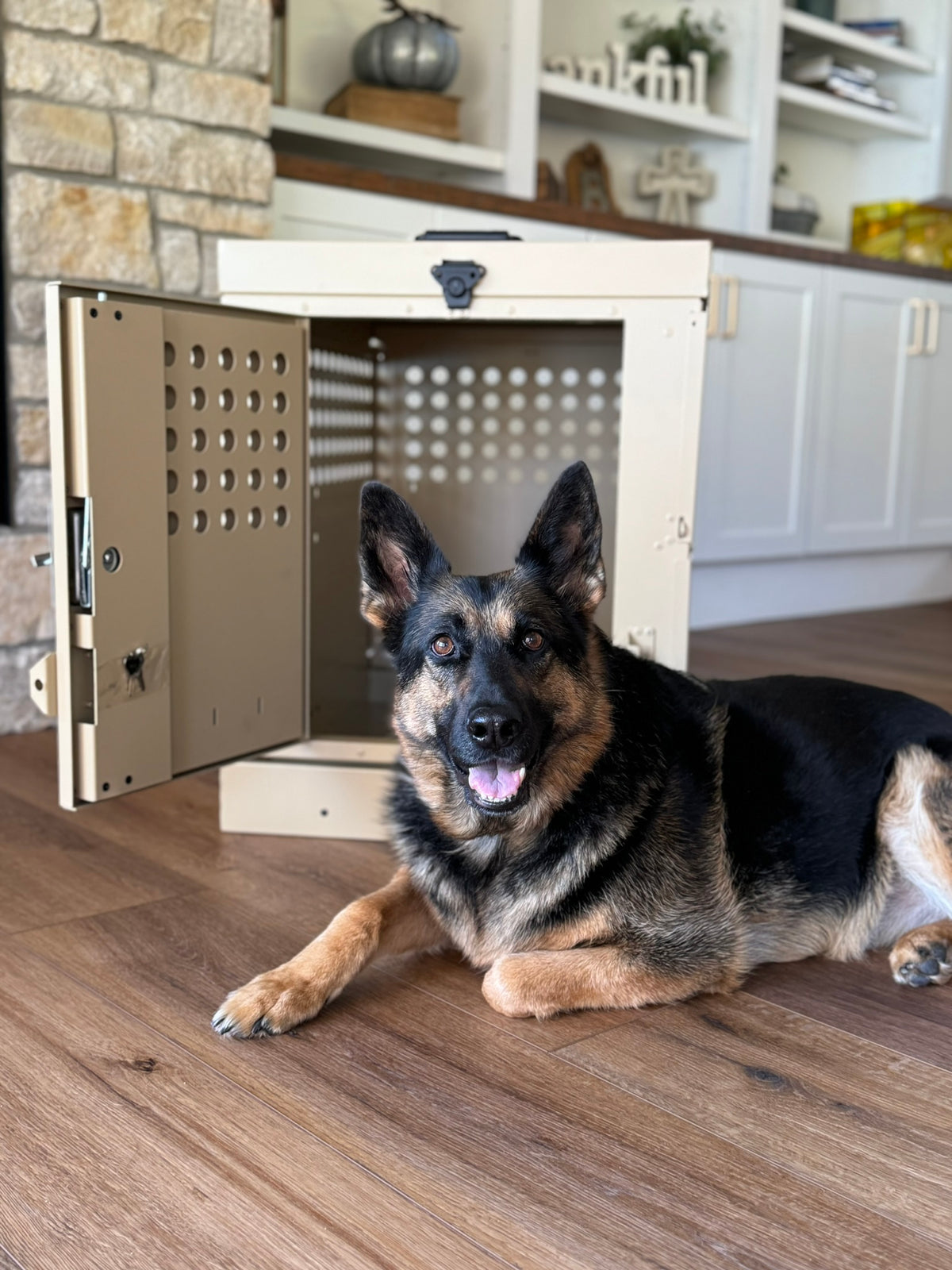 Collapsible Dog Crates