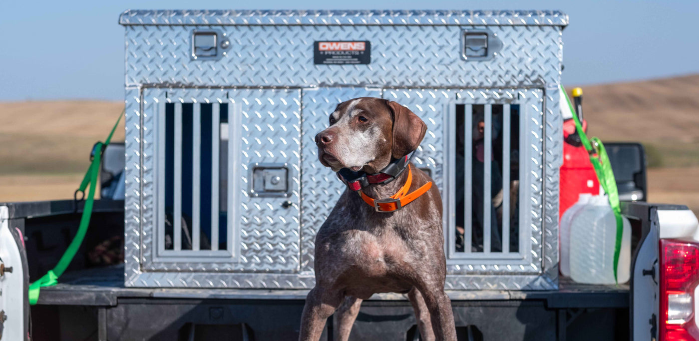 Dog Boxes - Top Storage - Diamond Tread Aluminum - Owens Products
