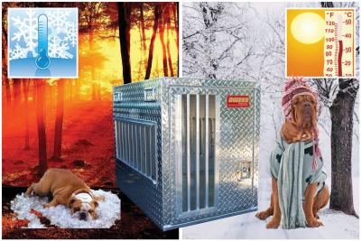 Dog Box ALL Hunter Series Single Compartment with Top Storage Various Sizes All Seasons Vents Diamond Tread Aluminum Owens Products Owens Products